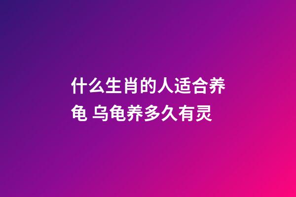 什么生肖的人适合养龟 乌龟养多久有灵
